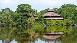 Why Rainforest Eco-Lodges Are Becoming the New Dream Escape for Travelers