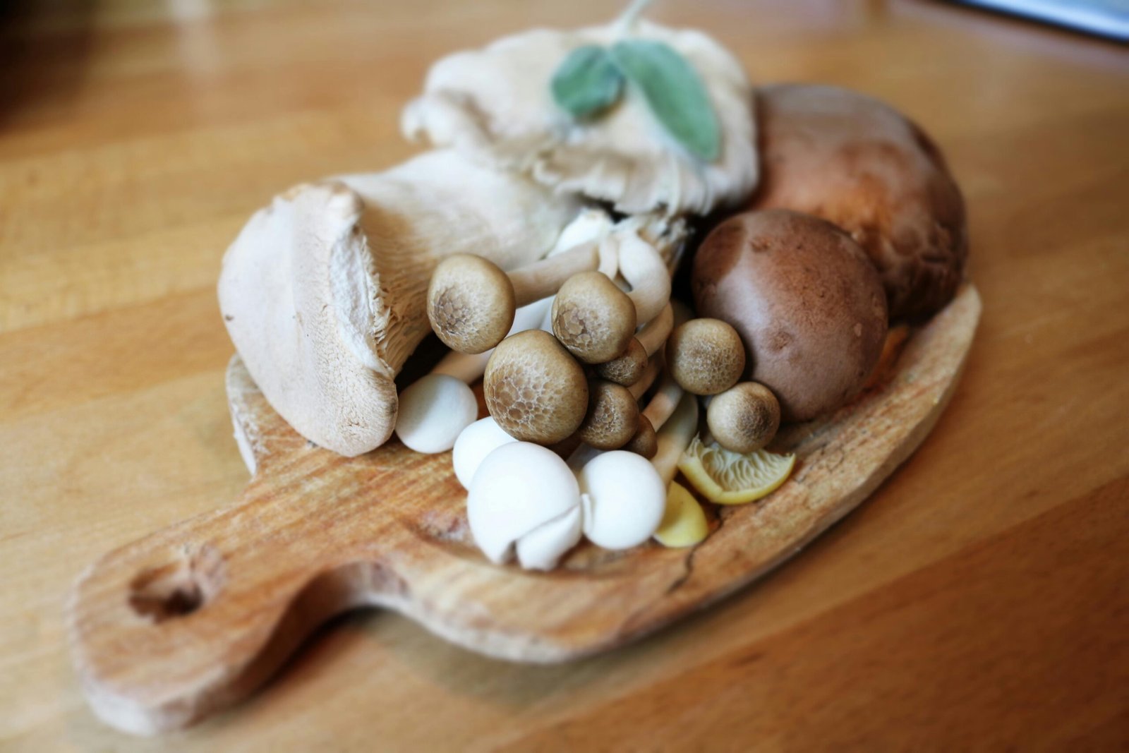 Why Zero-Oil Cooking Is Becoming More Than Just a Diet Trend