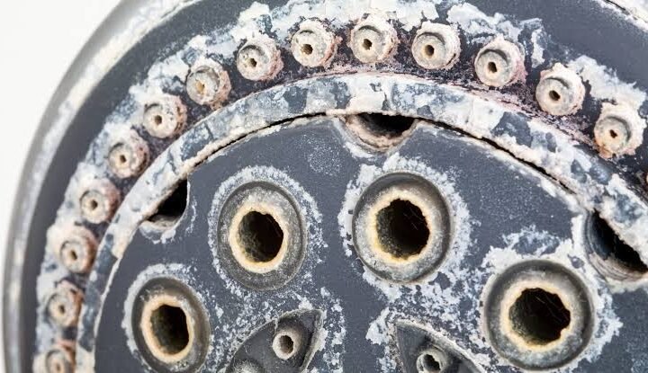 scale buildup